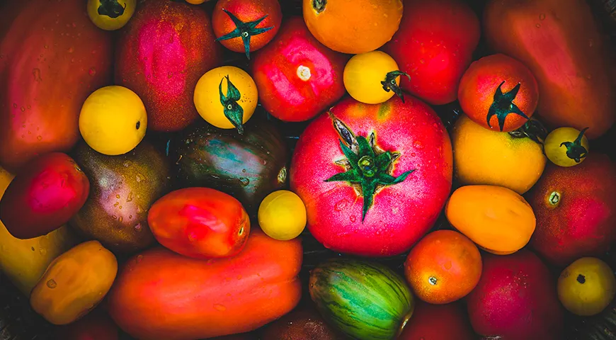 Enhver sort af tomater er velegnet til at lave tomatpasta derhjemme, men de kødfulde vil tage mindre tid til at fordampe væsken